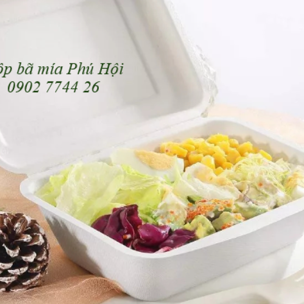 Hộp bã mía 1 ngăn nắp liền 600ml 